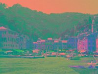 IMGP2618 edited (Medium)